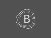 logos-bridge3